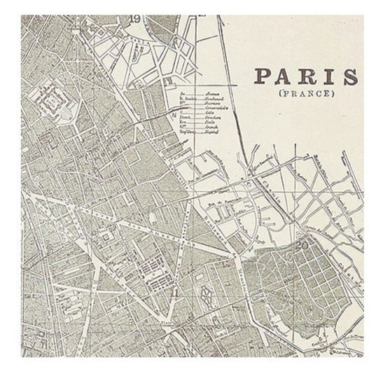 Luncheon Paper Napkin - Paris Map