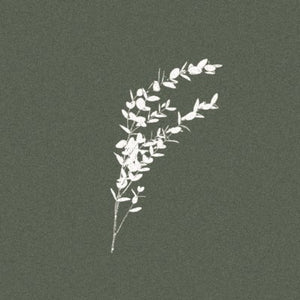 Dinner Napkin - Eucalyptus Cinera