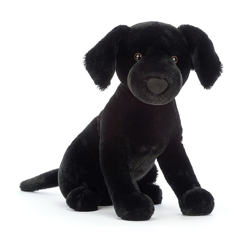 JC Medium - Pippa Black Labrador