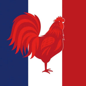 Cocktail Napkin - French Flag