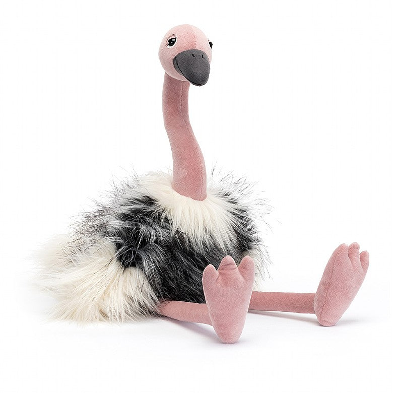 JC Large - Ramonda Ostrich